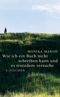 Abbildung von: Wie ich ein Buch nicht schreiben kann und es trotzdem versuche - S. Fischer