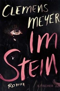 Cover: Im Stein - S. Fischer