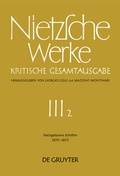 Cover: Nachgelassene Schriften 1870 - 1873 - De Gruyter