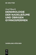 Bild: Dendrologie der Nadelbäume und übrigen Gymnospermen - De Gruyter