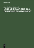 Cover: Labour Relations in a Changing Environment - De Gruyter
