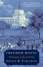 Cover: Freedom Rising - Vintage Books