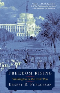 Enlarge image Cover: Freedom Rising - Vintage Books