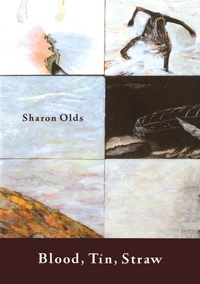 Abbildung von: Blood, Tin, Straw - Random House USA Inc