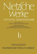 Cover: Nachgelassene Aufzeichnungen (Herbst 1862 - Sommer 1864) - De Gruyter
