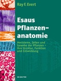 Cover: Esaus Pflanzenanatomie - De Gruyter