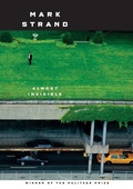 Cover: Almost Invisible - Alfred A. Knopf
