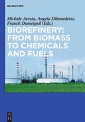 Cover: Biorefinery: From Biomass to Chemicals and Fuels - De Gruyter