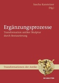 Cover: Erg&auml;nzungsprozesse - De Gruyter