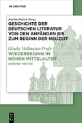 Cover: Wiederbeginn volkssprachiger Schriftlichkeit im hohen Mittelalter - De Gruyter