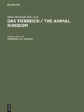 Cover: Acarina - De Gruyter