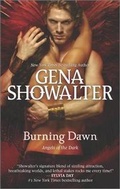 Cover: Burning Dawn - Hqn