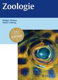 Abbildung von: Zoologie - Thieme