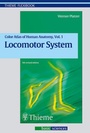 Cover: Color Atlas and Textbook of Human Anatomy / Locomotor System - Thieme