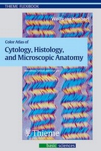 Abbildung von: Color Atlas of Cytology, Histology, and Microscopic Anatomy - Thieme