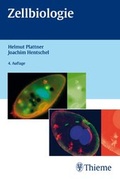 Cover: Zellbiologie - Thieme