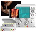 Cover: Virtual Physiology - SimHeart, SimMuscle, SimNerve, SimPatch, SimVessel / SimNerv: Simulation von Summenaktionspotentialen peripherer Nerven am Beispiel des Nervus ischiadicus des Krallenfrosches - Thieme