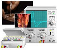 Enlarge image Cover: Virtual Physiology - SimHeart, SimMuscle, SimNerve, SimPatch, SimVessel / SimNerv: Simulation von Summenaktionspotentialen peripherer Nerven am Beispiel des Nervus ischiadicus des Krallenfrosches - Thieme