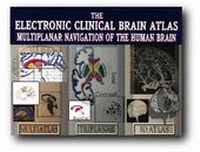 Enlarge image Cover: The Elektronic Clinical Brain Atlas on CD-ROM - Thieme