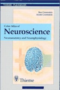 Abbildung von: Color Atlas of Neuroscience - Thieme