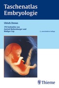 Bild: Taschenatlas der Embryologie - Thieme