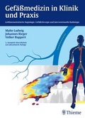 Cover: Gef&auml;&szlig;medizin in Klinik und Praxis - Thieme