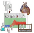 Cover: Virtual Physiology - SimHeart, SimMuscle, SimNerve, SimPatch, SimVessel / SimHeart: Experimente am Langendorff-Herzen im virtuellen Physiologie-Labor - Thieme