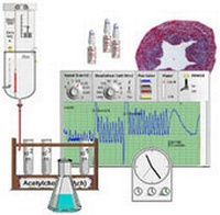 Enlarge image Cover: Virtual Physiology - SimHeart, SimMuscle, SimNerve, SimPatch, SimVessel / SimVessel: Glatte Muskulatur im virtuellen Physiologie-Labor - Thieme