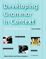 Cover: Developing Grammar in Context Grammar reference and practice - Klett