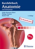Bild: Kurzlehrbuch Anatomie - Thieme