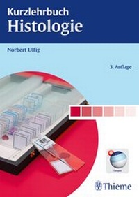 Abbildung von: Kurzlehrbuch Histologie - Thieme
