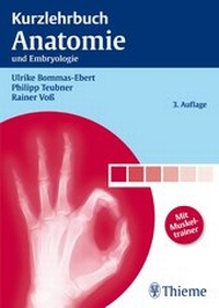 Bild: Kurzlehrbuch Anatomie - Thieme