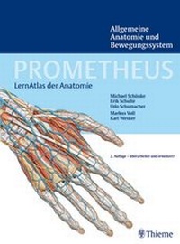 Bild vergrößern Bild: PROMETHEUS Allgemeine Anatomie und Bewegungssystem - Thieme