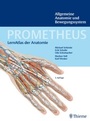 Bild: PROMETHEUS Allgemeine Anatomie und Bewegungssystem - Thieme