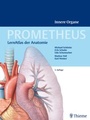Bild: PROMETHEUS Innere Organe - Thieme