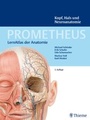 Bild: PROMETHEUS Kopf, Hals und Neuroanatomie - Thieme