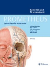 Bild vergrößern Bild: PROMETHEUS Kopf, Hals und Neuroanatomie - Thieme
