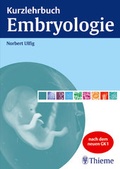 Bild: Kurzlehrbuch Embryologie - Thieme
