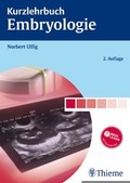 Bild: Kurzlehrbuch Embryologie - Thieme