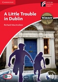 Cover: A Little Trouble in Dublin - Klett
