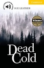 Cover: Dead Cold - Klett