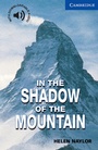 Cover: In the Shadow of the Mountain - Klett