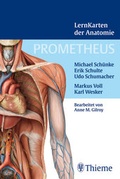 Cover: Prometheus Lernkarten der Anatomie - Thieme