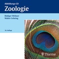 Cover: Zoologie (Abbildungs-CD zur 24. Auflage des Buches) - Thieme