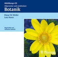 Abbildung von: Allgemeine und molekulare Botanik. Abbildungs-CD-ROM - Thieme
