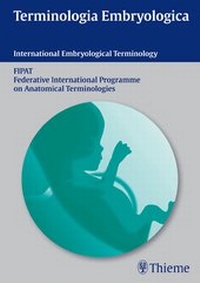 Bild: Terminologia Embryologica - Thieme