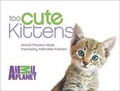 Cover: Too Cute Kittens - Harlequin Nonfiction