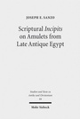 Bild: Scriptural Incipits on Amulets from Late Antique Egypt - Mohr Siebeck