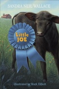 Cover: Little Joe - Knopf Books for Young Readers