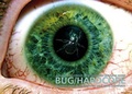 Cover: Bug/Hardcore - &eacute;ditions foulland